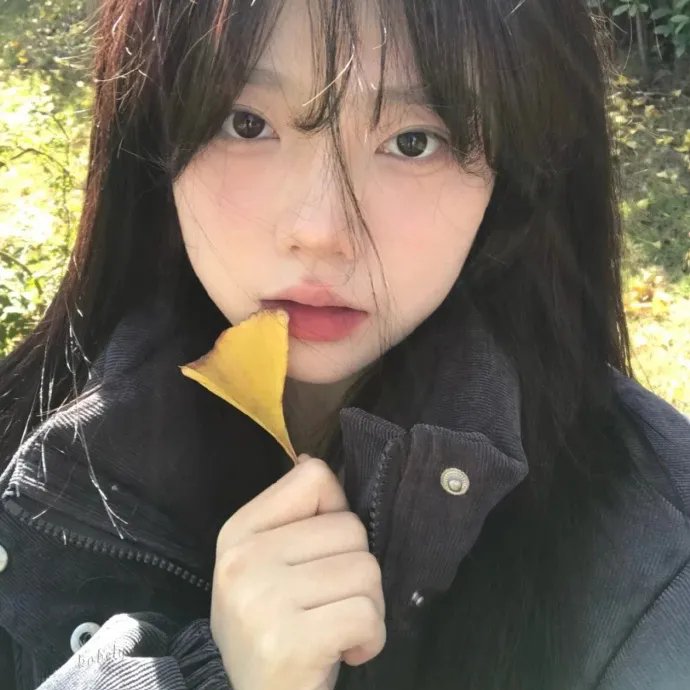 我的如意狼君国语